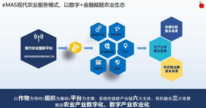 蘋(píng)果公司的農(nóng)業(yè)供應(yīng)鏈 財(cái)務(wù)會(huì)計(jì)視角下的規(guī)模、管理與創(chuàng)新